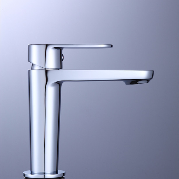 Bath & Shower Faucet